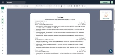 Wonsulting resume editor showing the intuitive interface and editing features
